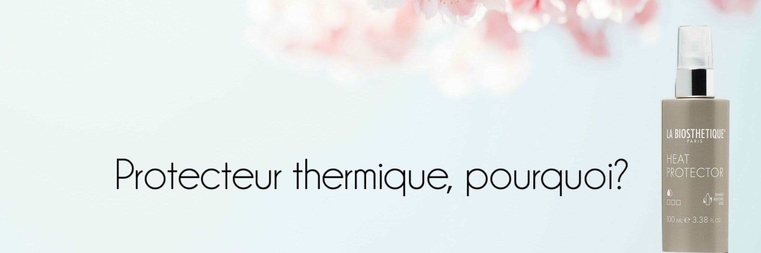 Protecteur thermique, pourquoi?